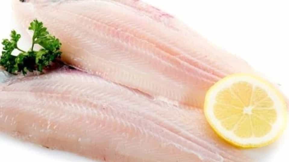 قیمت خرید و فروش ماهی زبون