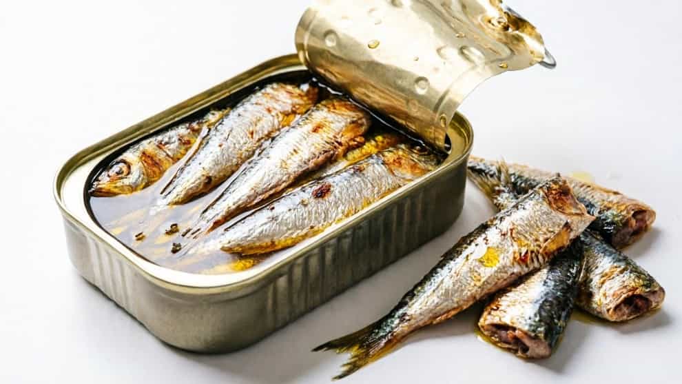 قیمت کنسرو ماهی ساردین صادراتی در جنوب ایران؛ خرید مستقیم