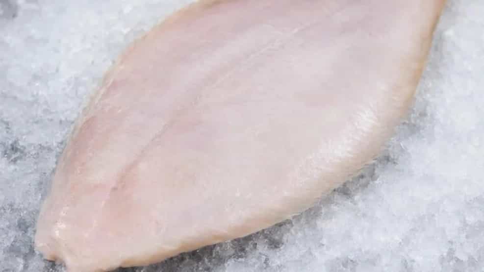 قیمت خرید ماهی زبان صورتی صادراتی و فروش عمده